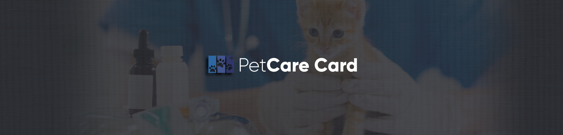 펫케어카드 홈페이지제작업체