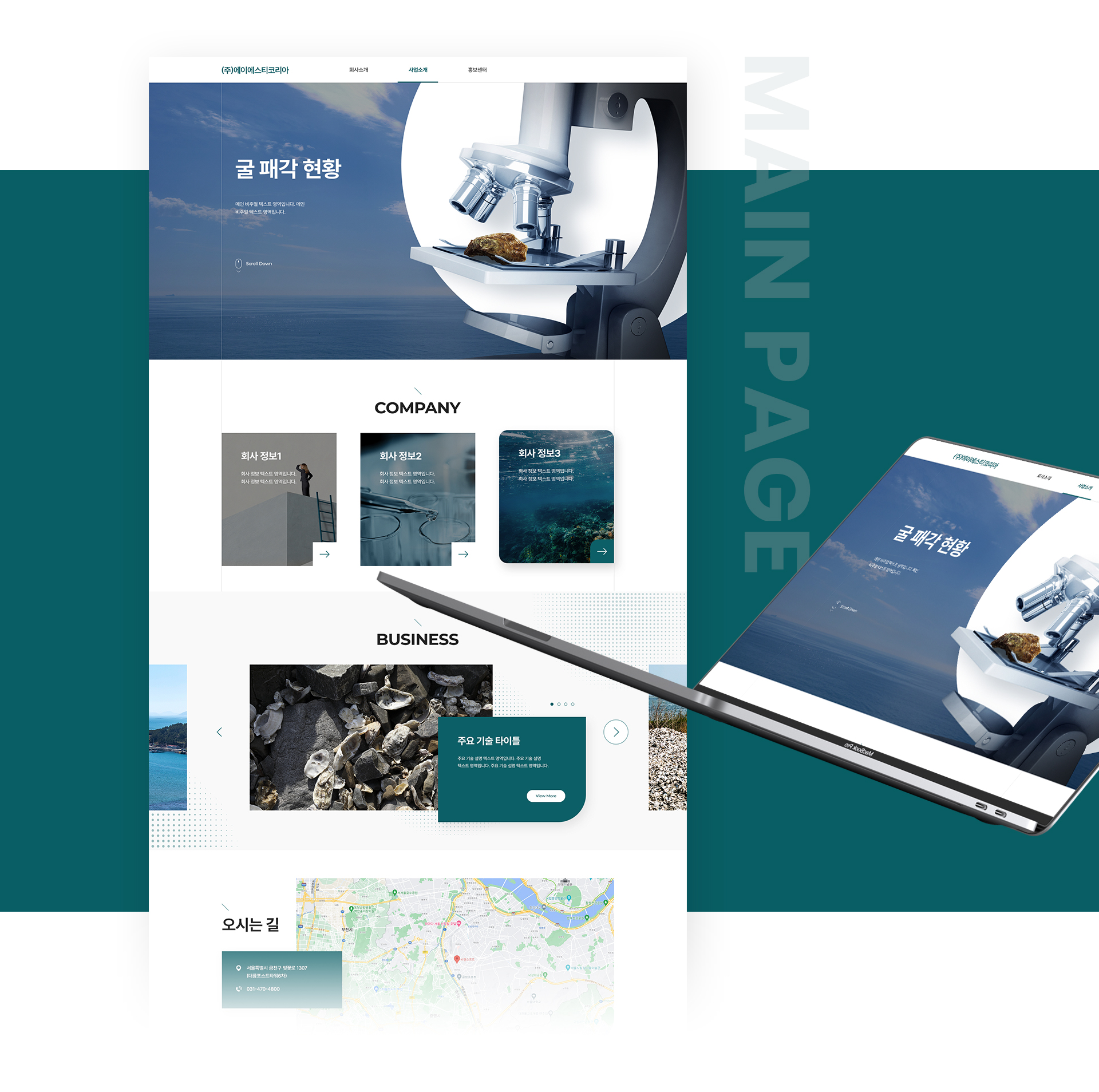 굴패각 사이트제작