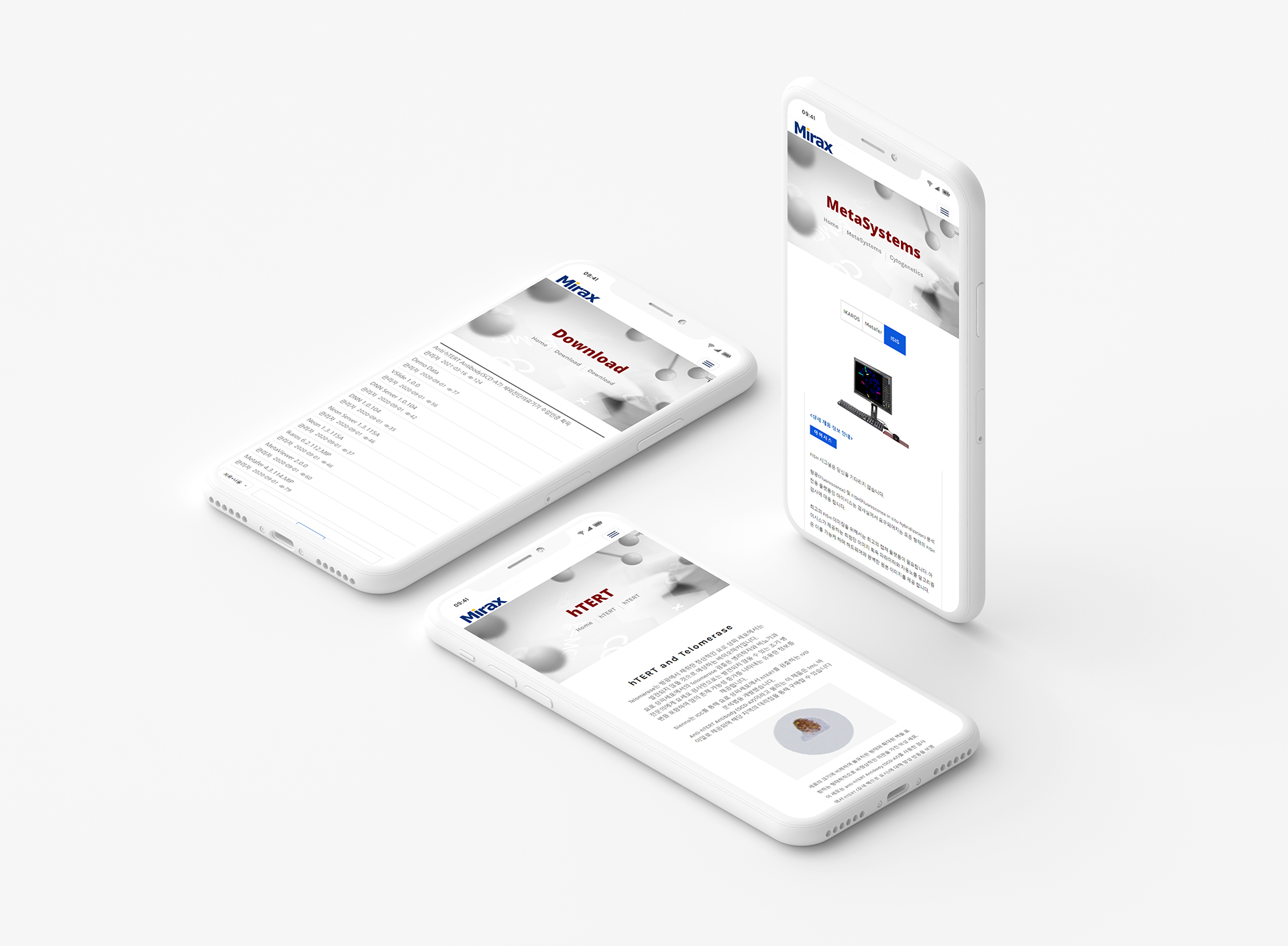 con03.jpg 미락스 웹페이지제작